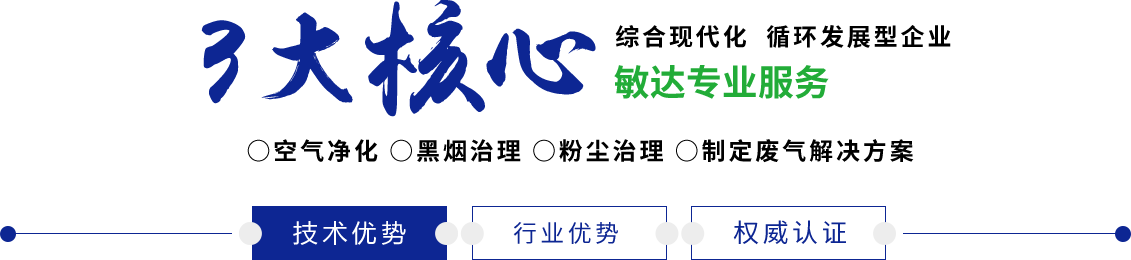 操B在那个网站可以免费看敏达环保科技（嘉兴）有限公司